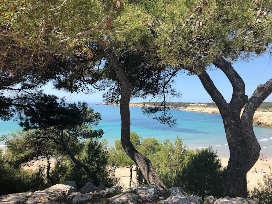 מאוסן לס אלפילס Mazet Provencal Au Coeur Des Alpilles La Reverie מראה חיצוני תמונה