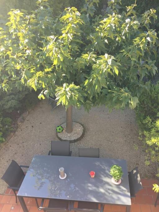 מאוסן לס אלפילס Mazet Provencal Au Coeur Des Alpilles La Reverie מראה חיצוני תמונה