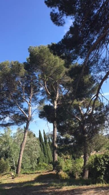מאוסן לס אלפילס Mazet Provencal Au Coeur Des Alpilles La Reverie מראה חיצוני תמונה